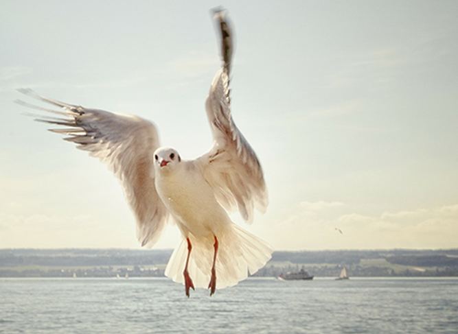 Маркетинг: сегментация и позиционирование