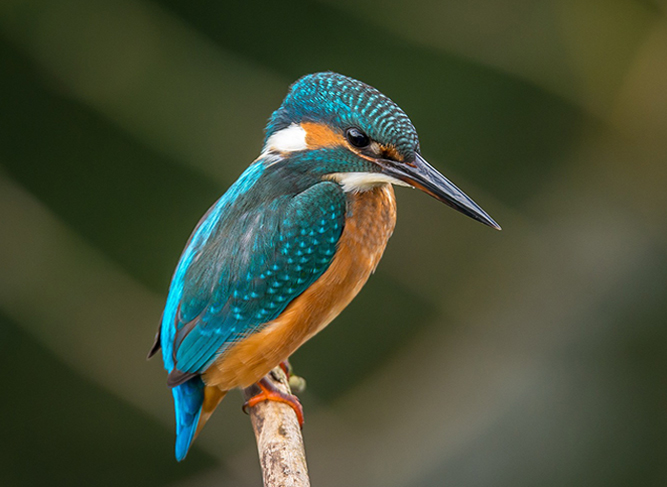 Маркетинг: метрики и оптимизация