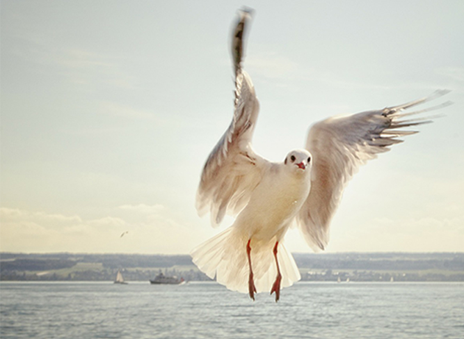 Маркетинг: кейсы и разбор результатов