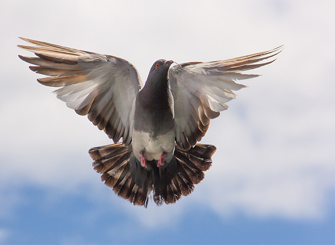 Маркетинг: стратегия и запуск кампаний