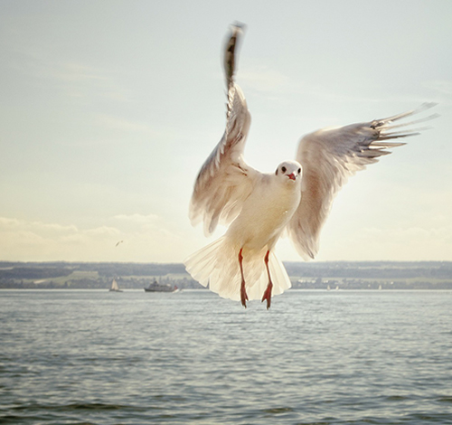 Дата-аналитика: основы и постановка задач