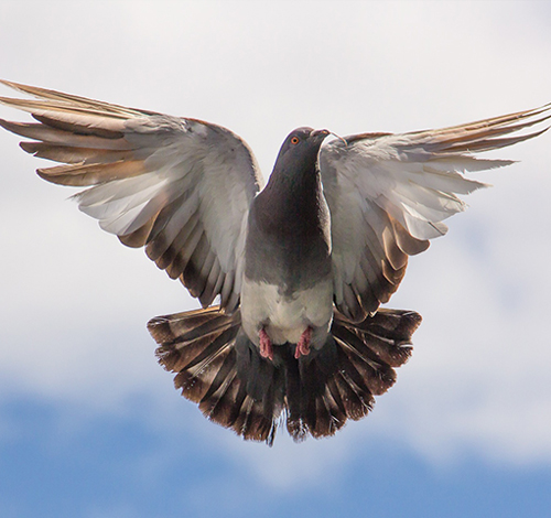 Маркетинг-аналитика: A/B тестирование и гипотезы