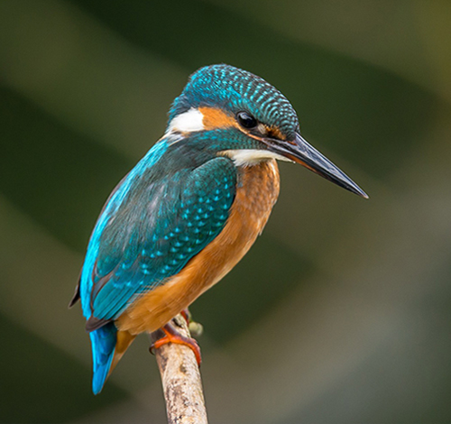 Маркетинг-аналитика: юнит-экономика и LTV