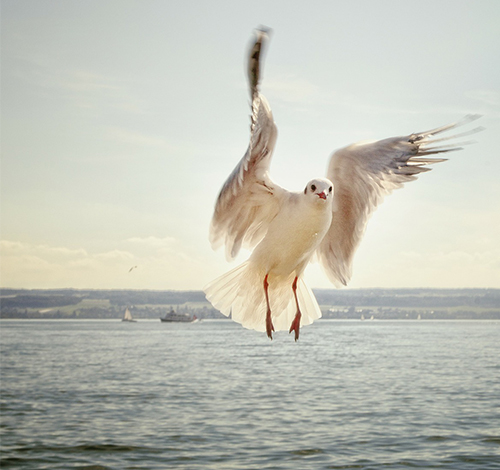 Маркетинг-аналитика: отчёты для бизнеса