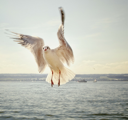 Маркетинг-аналитика: измерение эффективности