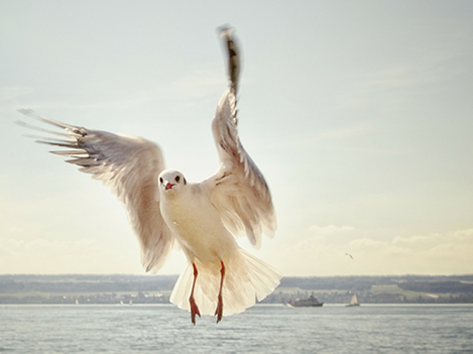 Практика: разбор кейсов и домашние задания