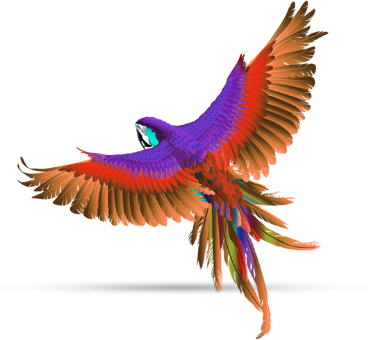 Результаты обучения